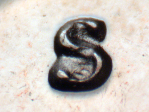 1974-S Doubled Mintmark Punch